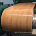 Prepainted GI Steel Coil/ PPGI / PPGL